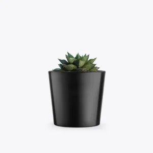 product-image-3_optimized Augue Neque